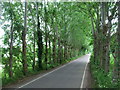 Canterbury Lane, Upchurch