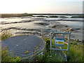 Evening low tide, Mundon Creek