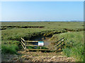 Saltings at New Hall no. 3 sluice