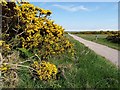 A path across Moray golf course