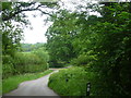 Lane near Perch Hill Farm