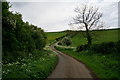 Minor road leading to the A40