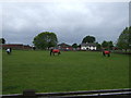 Northfield Riding Centre