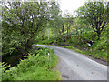 Road through Cwm Ceulan