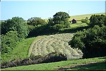 SX8255 : Hedges, hay, and hillside gardening below Furze Cross by Robin Stott