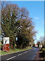 Roadside signs near Pitchcombe