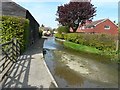 The Nail Bourne flowing along South Barham Road