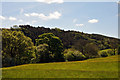 NY8451 : Field with buttercups near to Pry Hill by Trevor Littlewood