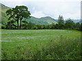 Daisy-covered meadow at Inverfyne