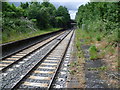 The disused platforms at Walthamstow Queen