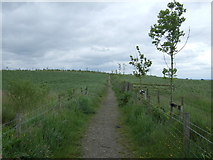 SD5501 : Footpath to Ryecroft Farm by JThomas