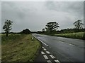 Trimmed Grass Verges of the A75