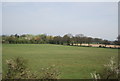 Farmland near Roland House