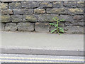 Inverted bench mark, Blidworth churchyard wall