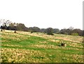 Landfill site near Pluckley