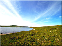 NY8030 : Cow Green Reservoir by Andy Beecroft
