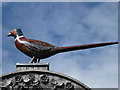 Pheasant on Village Sign, Clavering, Essex