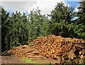 Logs near Trenchford Reservoir