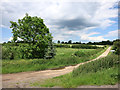 The London Loop at Rectory Farm