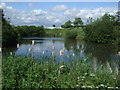 Pond off Burtonhead Road