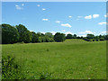 Fields east of Bacon Lane