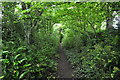 Torridge : Footpath