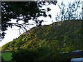 Evening  Sunlight  on  Clifton  Craig