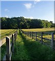 Footpath toward Highfield Wood