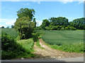 Farm track off Well Lane