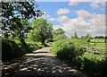 Lane near Blackingstone Farm