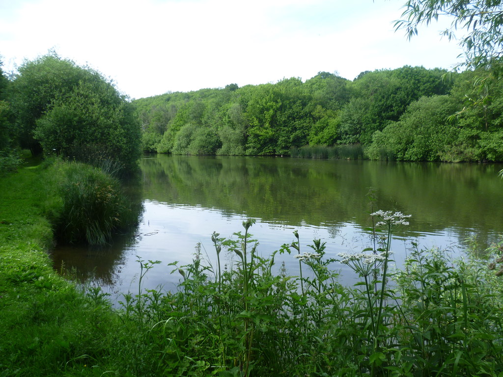 L Shaped Lake seen from the High Weald... © Marathon cc-by-sa/2.0 ...