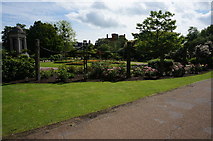 ST2224 : Vivary Park, Taunton by jeff collins