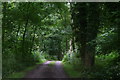 Driveway to Burton Wood House