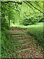 Great Missenden - old steps to north of church