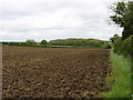 Field beside the Fosse Way, near Ettington