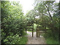 Gate on footpath, Woodside Park