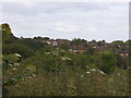 View across Woodside Park from the fields