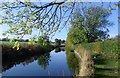 Chesterfield Canal near Misterton