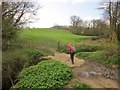 Footpath near Broadwindsor