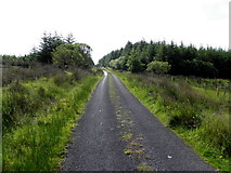 G9428 : Road at Greaghnaglogh by Kenneth  Allen