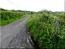 G9027 : Road at Lisnanaw by Kenneth  Allen