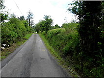 G9128 : Road at Greaglom by Kenneth  Allen