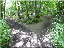 TQ4951 : The Greensand Way at Stubbs Wood by Marathon