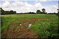 Taunton Deane District : Grassy Field