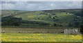 Meadow and moorland