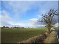 Arable land, Bendochy