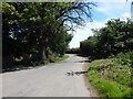 Gulpher Road towards Old Felixstowe