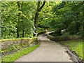 Footpath and Bridge Over River Chor at Astley Park/Ackhurst Wood