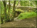 Bridge Over River Chor, Ackhurst Wood/Astley park