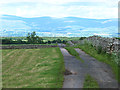 Access road to Blands Farm